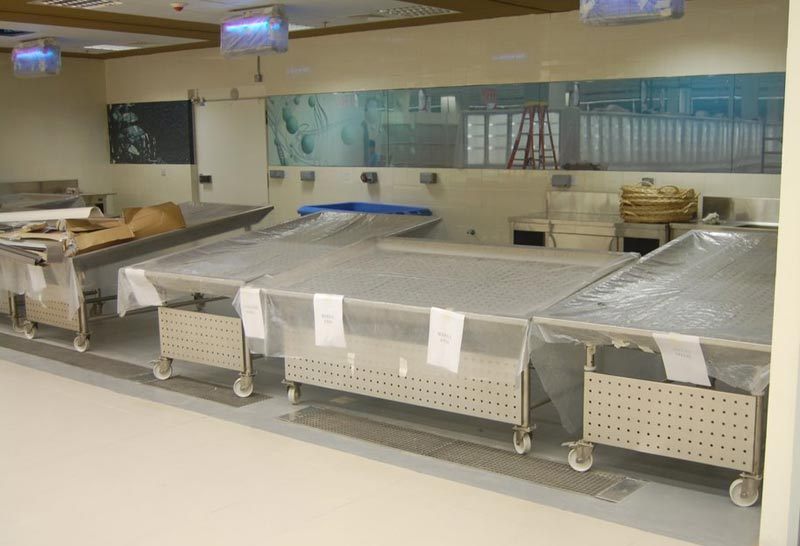 Bateas para pescados